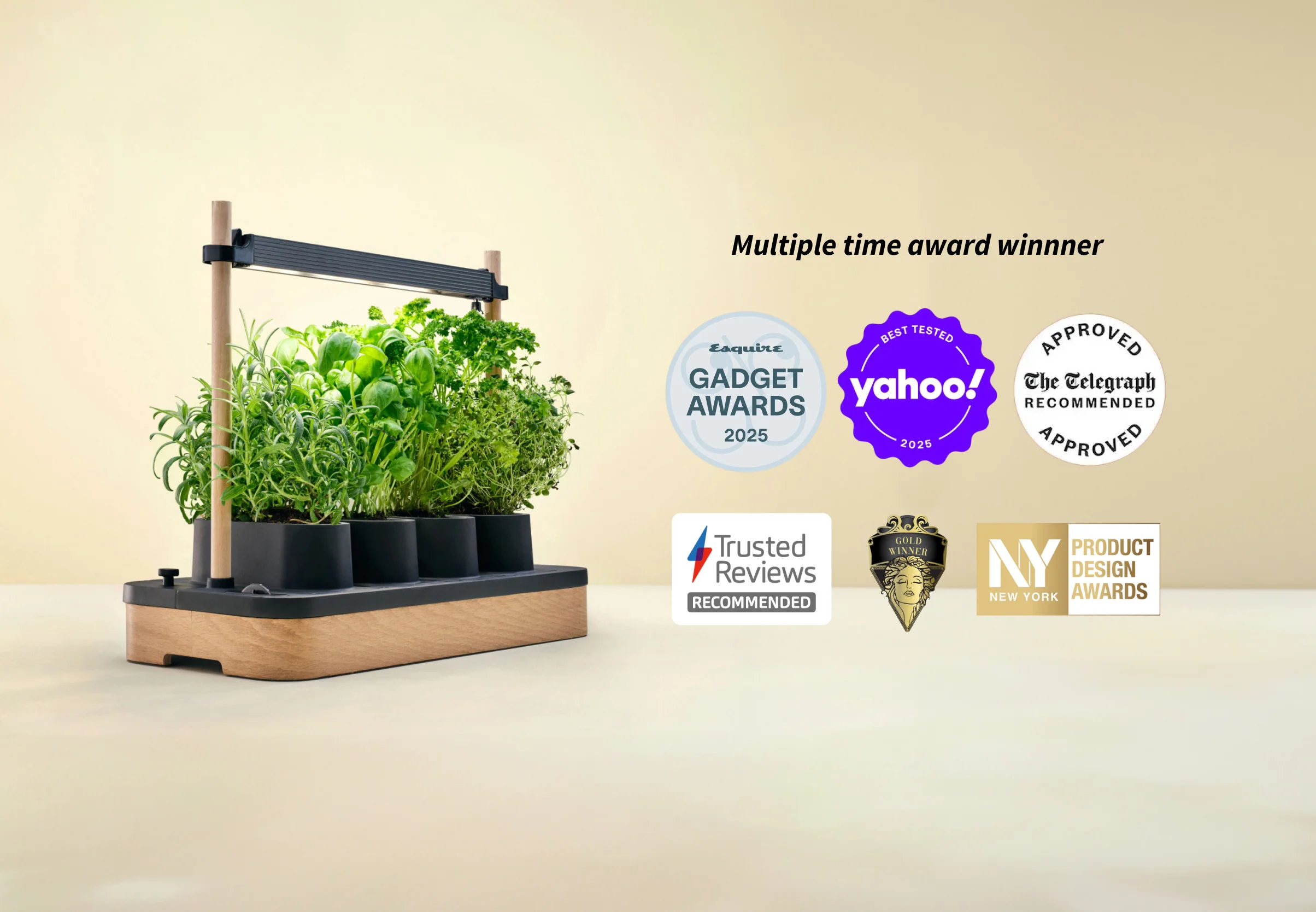 Auk Mini Bundle - Image 6