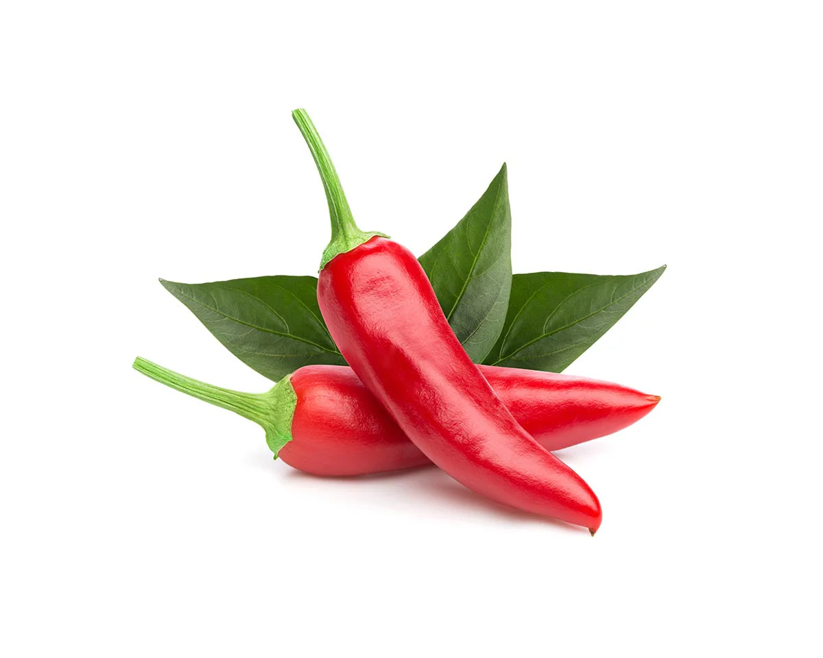 Chili pepper