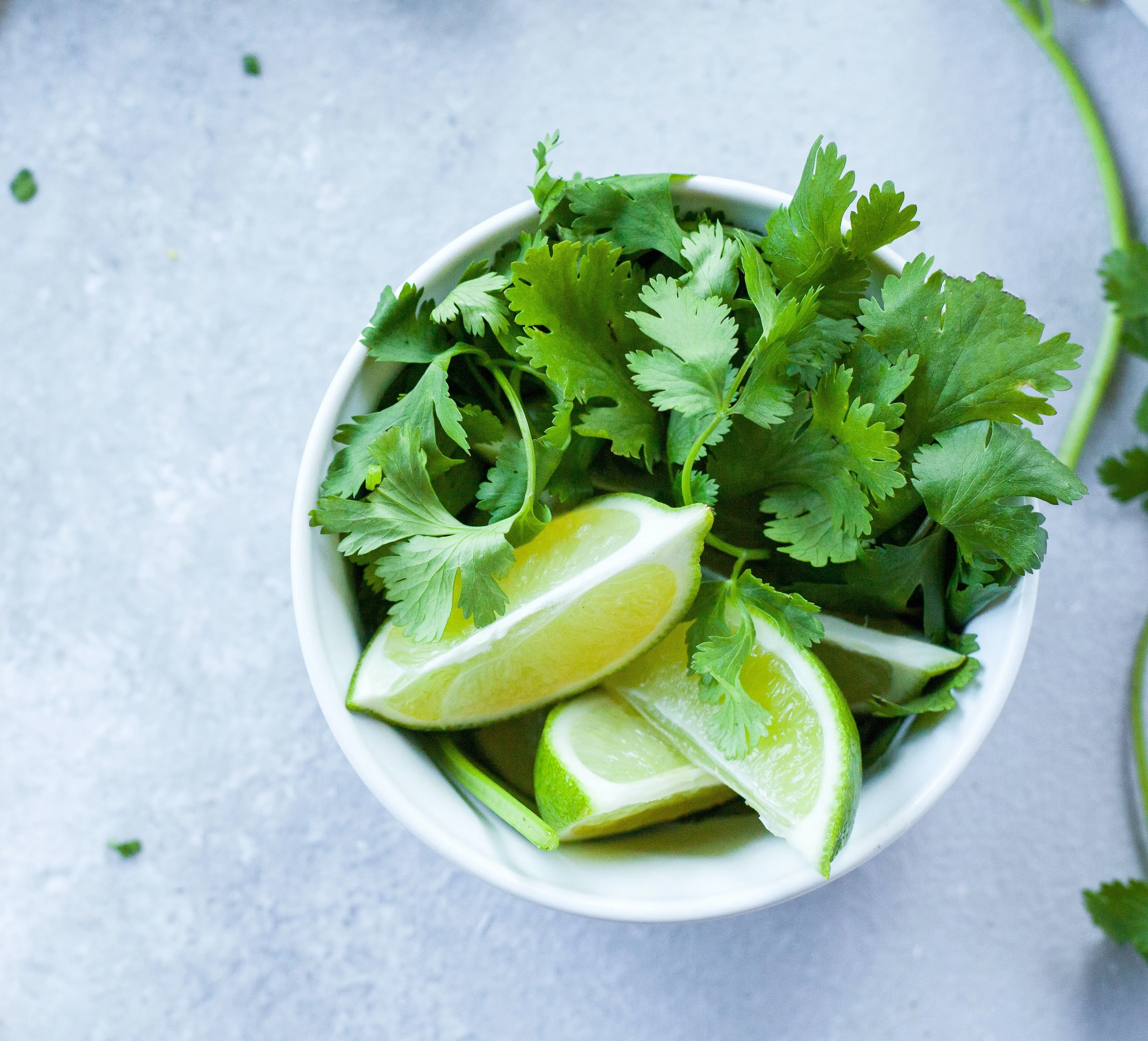 Coriander - Image 2
