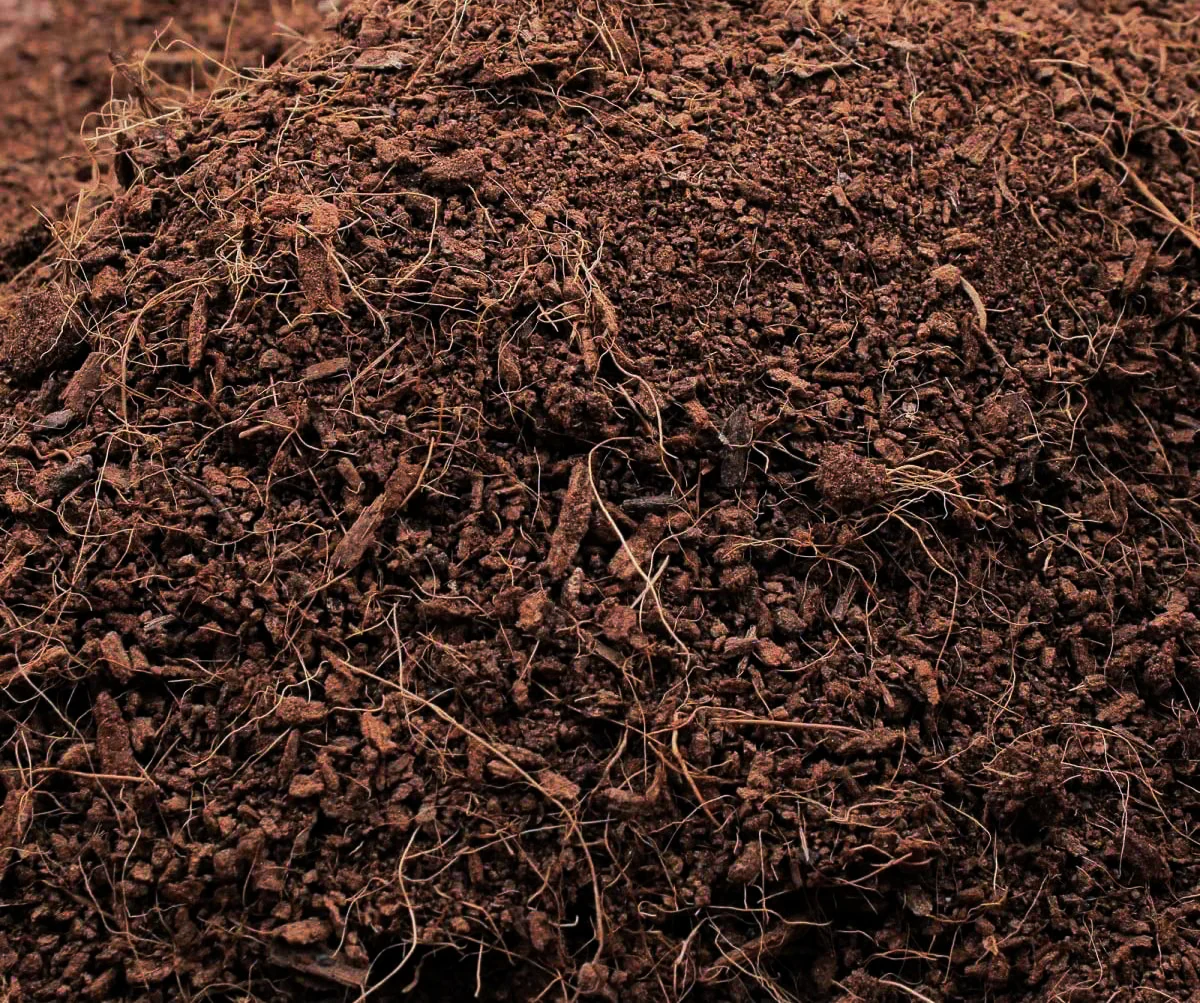 Coco fiber - Auk 1 - Image 3