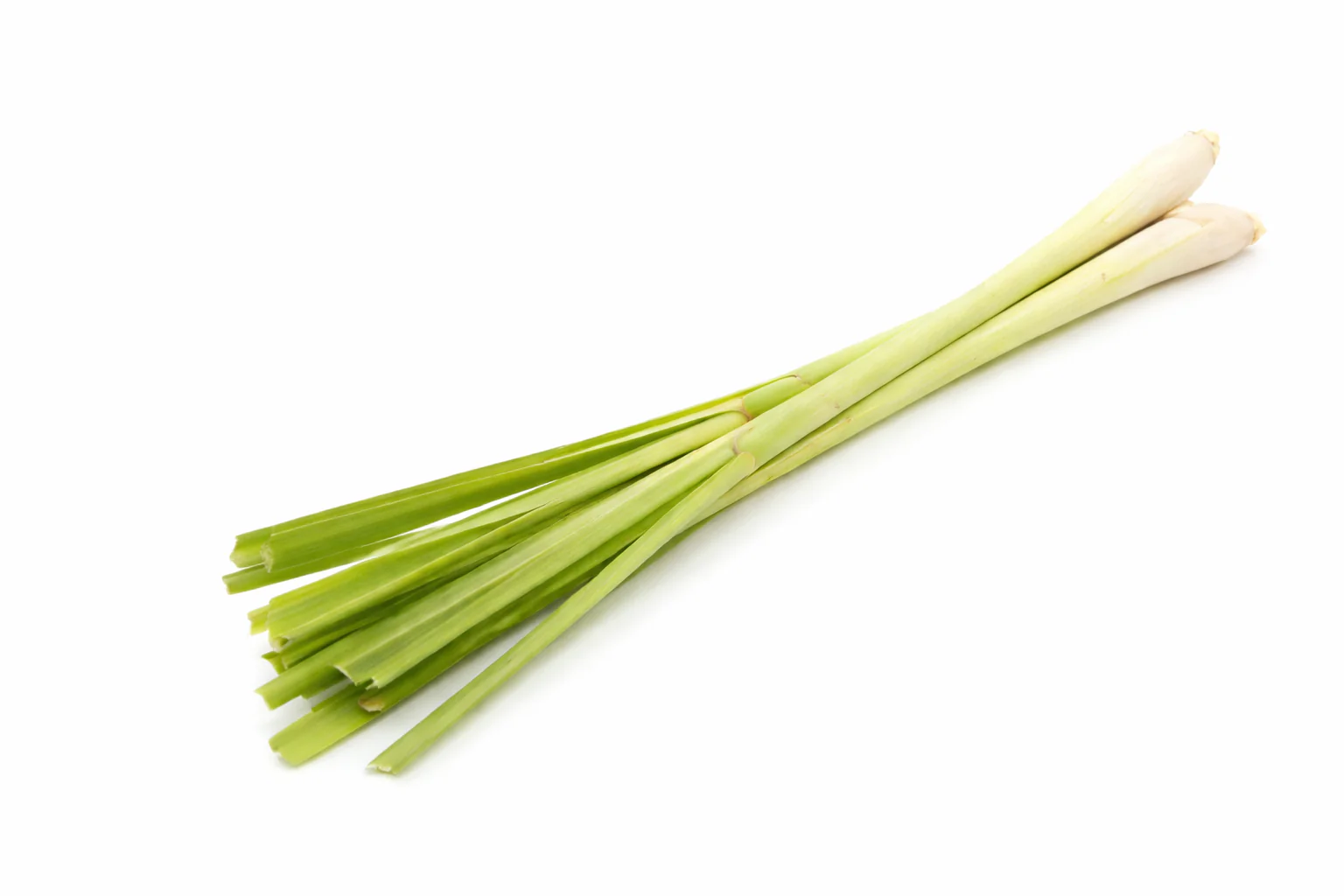 Lemongrass