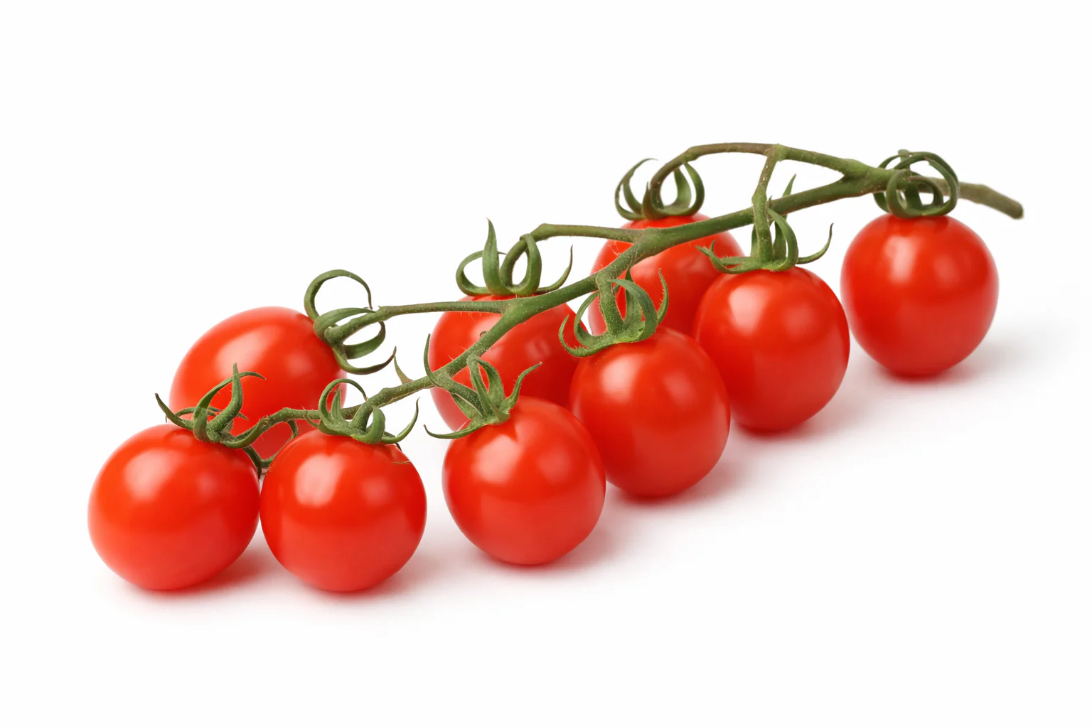 Tomato Gourmandise