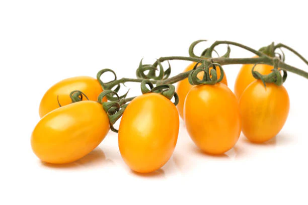 Tomato Balconi Yellow